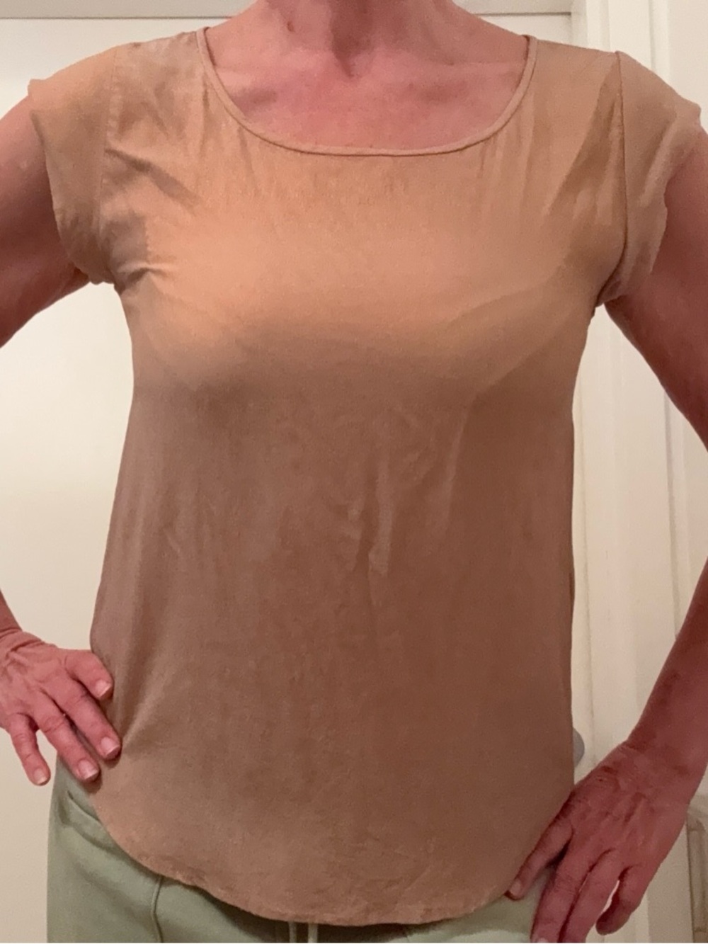 Joie Women’s Short Sleeve Scoop Neck Top — Tan with Shine, Brand new Size S